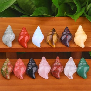 Peut inclure: Douze petites pierres polies en forme de coquillage de différentes couleurs, notamment vert, rouge, rose, noir, blanc et marron. Les pierres sont disposées en deux rangées sur une surface en bois.