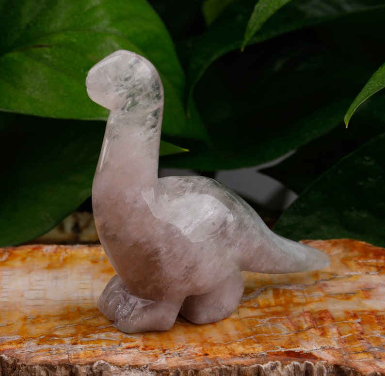 3 Inch Large Dinosaur Home Decor , Healing Chakra Crystal Gemstone Dinosaur Gifts image 8