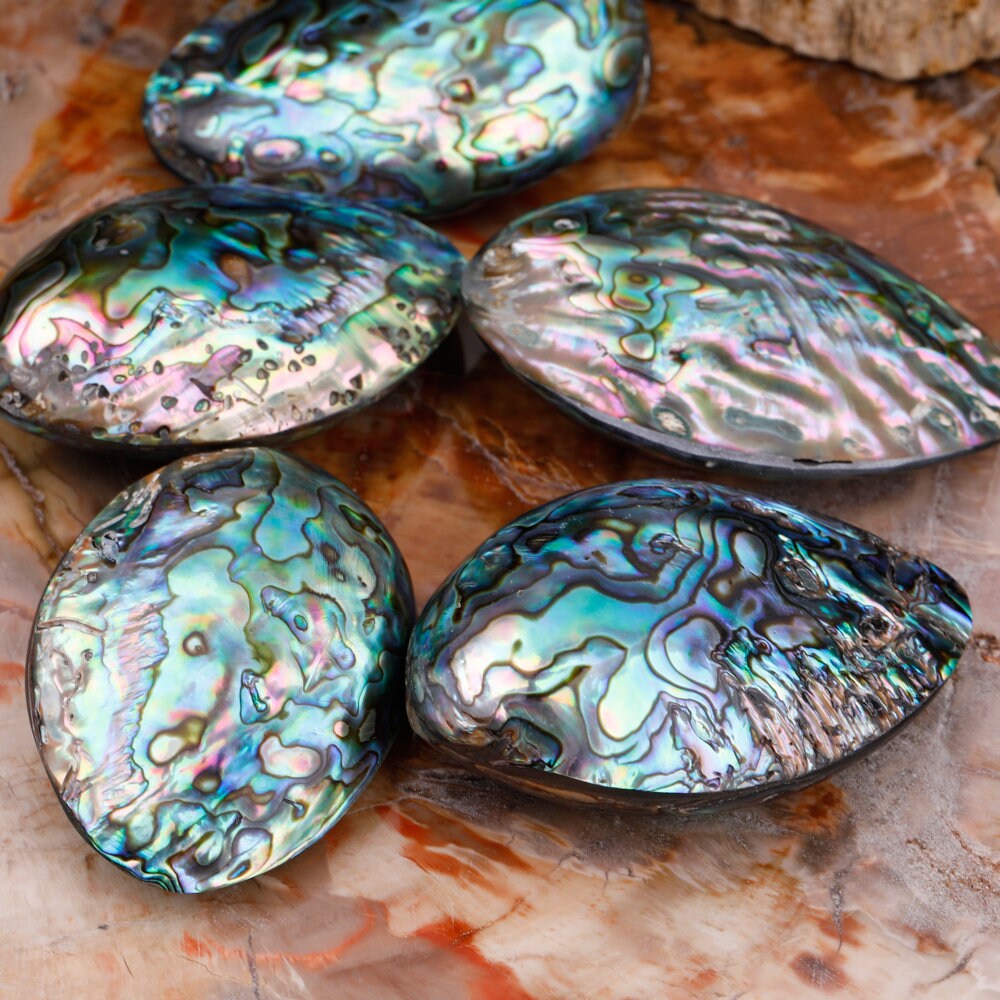 2 Inch Crystal Seashell Hand Carving, Quartz Crystal Shell, Mineral ...