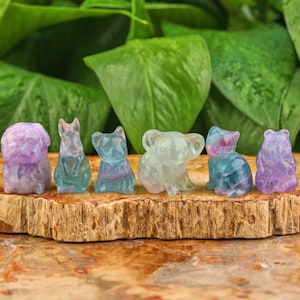 Carved Crystal Animals Figurines Rainbow Fluorite Animal Shaped Crystals