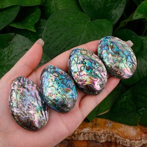 May include: Four iridescent abalone shell stones in various shades of blue, green, and purple. The stones are smooth and oval-shaped.
