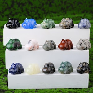 Op de afbeelding: Een verzameling kleine, gebeeldhouwde nijlpaardbeeldjes in verschillende kleuren, waaronder zwart, blauw, groen en rood. De nijlpaarden worden gepresenteerd op witte, trapsgewijze planken tegen een groene achtergrond.