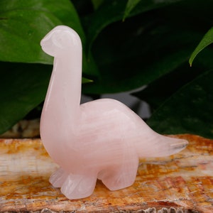 3 Inch Large Dinosaur Home Decor , Healing Chakra Crystal Gemstone Dinosaur Gifts image 5