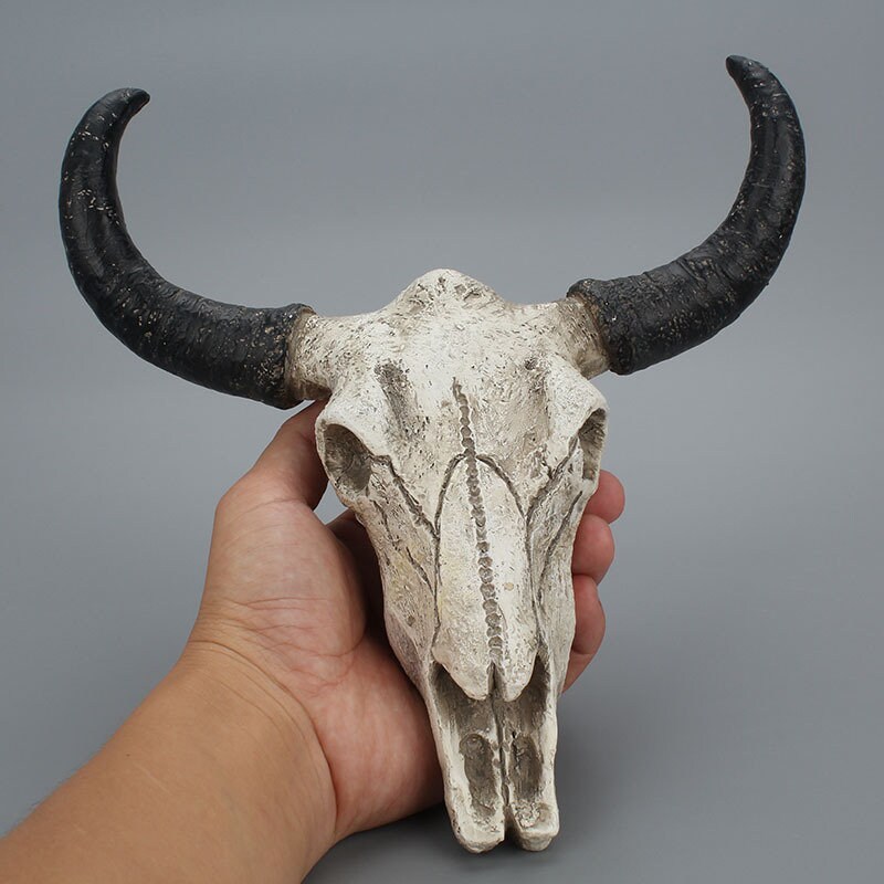 Resin Horn Wall Hanging Home Decor OX Skull Bull Skeleton Etsy