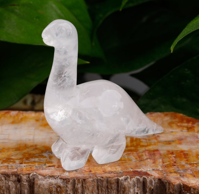 3 Inch Large Dinosaur Home Decor , Healing Chakra Crystal Gemstone Dinosaur Gifts image 9