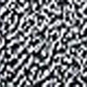 May include: A close-up of a textured surface with a pattern of black and white shapes. The shapes are irregular and create a mottled effect across the surface. The image is in sharp focus, highlighting the texture.