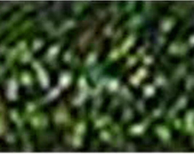 KR - 016L -OLIVE MOSS
