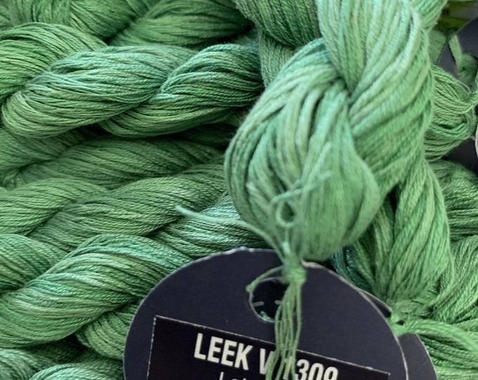 6-Ply Variegated - LEEK - 1309V - Planet Earth