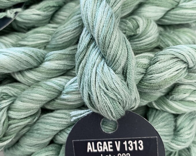 6-Ply Variegated - ALGAE - 1313V - Planet Earth