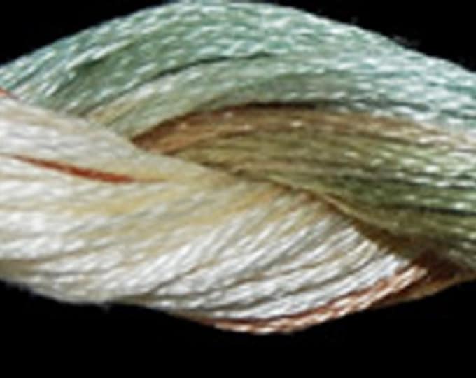 ODF-1113-INDIAN SUMMER-Thrdwrx - od Cotton Floss