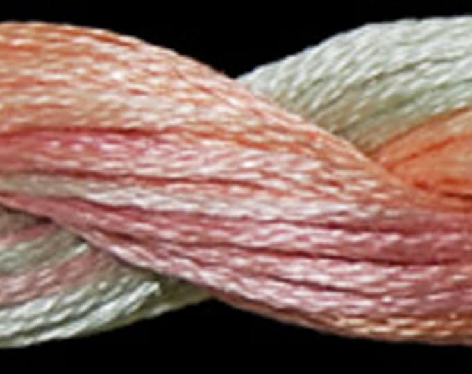 ODF-1142-DESERT FLOWERS - od Cotton Floss by Thrdwrx