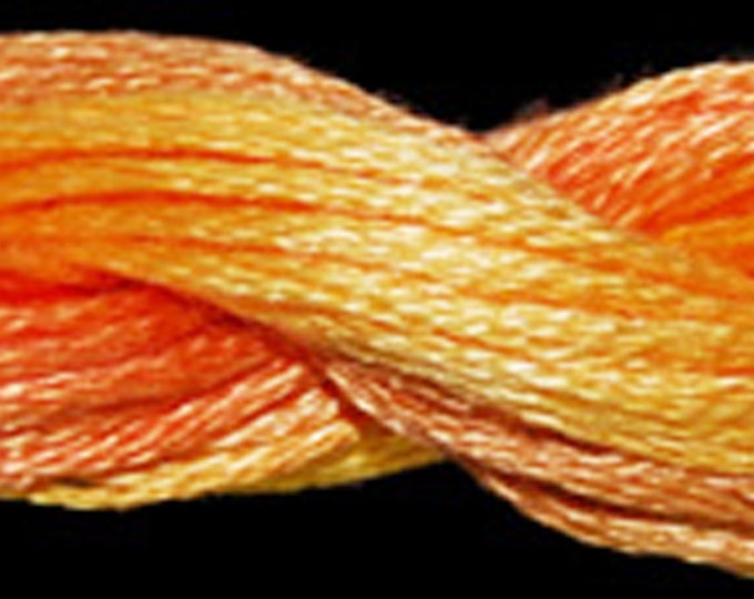 ODF-1072-10721-1073-1074-1076-10761-1077-10770-10770-1078- Overdyed Floss  - by Threadworx -Color Names listed below with Quantities
