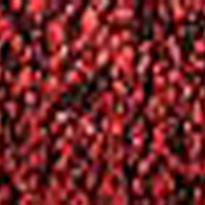 May include: A close-up view of a dense field of small, irregularly shaped, red objects. The objects have a slightly textured appearance, with variations in shade from deep crimson to lighter red hues. The overall effect is a rich, textured surface.