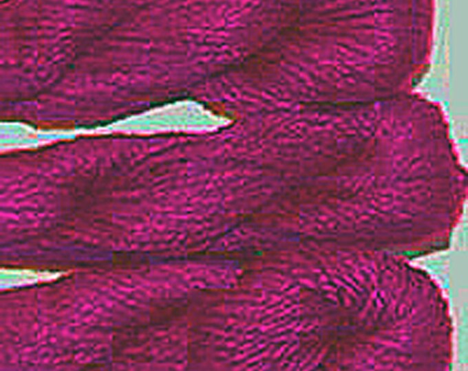 PRIMA - 241 - Pepper Pot Silk
