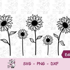 Tournesol avec tige SVG fichiers pour Cricut | Dessin à la main de la fleur d’été de printemps