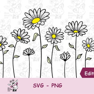 Arquivos SVG de flores margaridas para Cricut | Design floral desenhado à mão primavera verão | Folhas de caules de flores editáveis