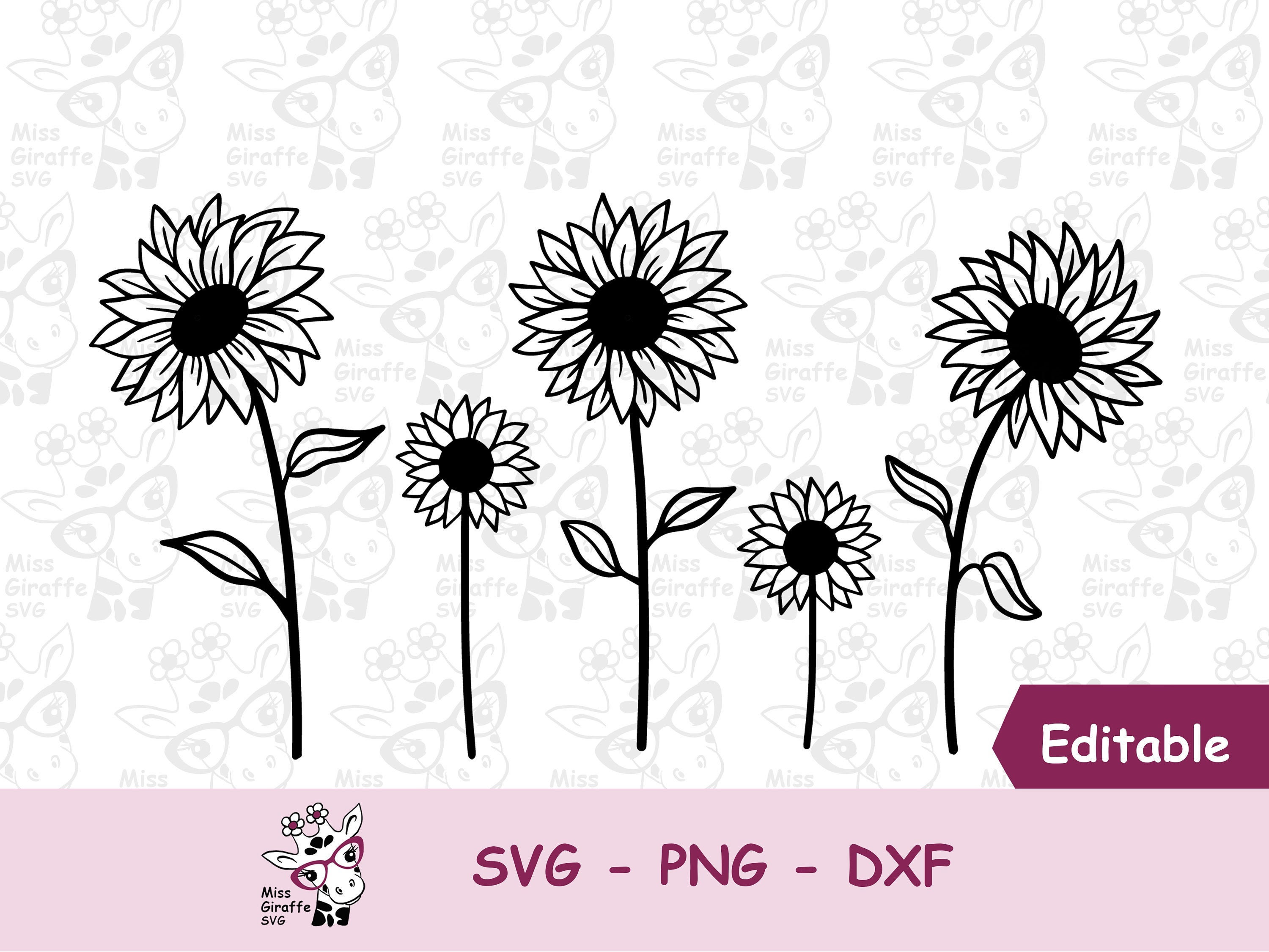 Rose SVG, Flower SVG, Floral Elements Graphic by CraftlabSVG