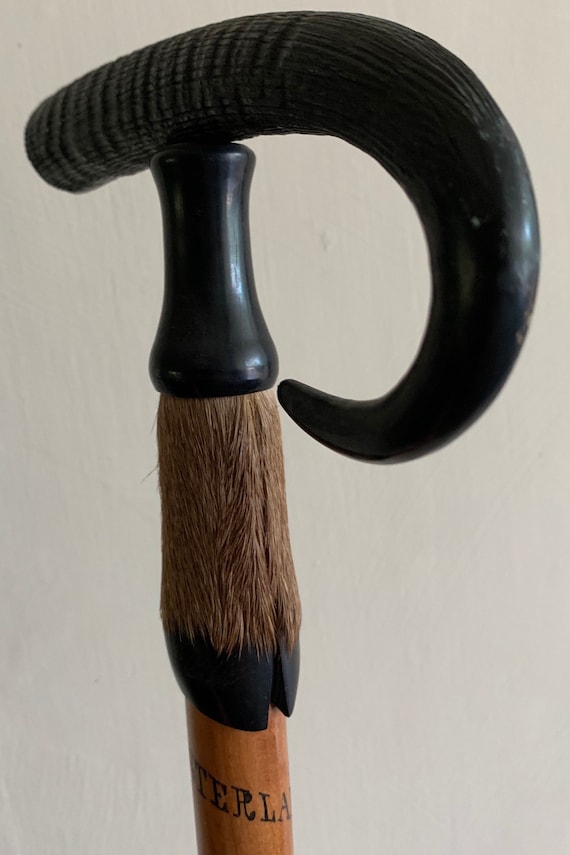 Antique Swiss Alpine Goat Horn Fur Hoof Walking Stick Cane