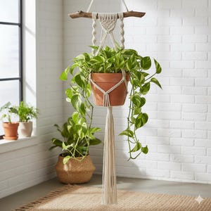 May include: A macrame plant hanger with a terracotta pot holding a green and yellow pothos plant. The macrame is suspended from a natural wood branch. The plant holder features a long tassel.
