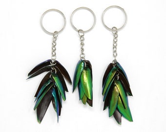THREE (3) Jewel Beetle Keyrings - Real Metallic Green Beetle Wings Elytra Taxidermy Art Jewelry