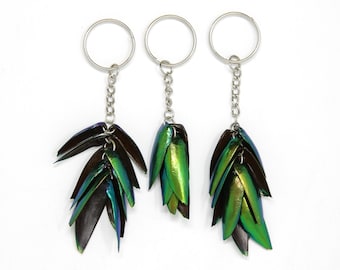 THREE (3) Jewel Beetle Keyrings - Real Metallic Green Beetle Wings Elytra Taxidermy Art Jewelry