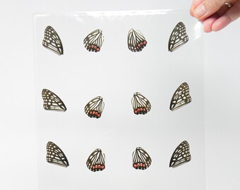 Laminated Butterfly Wings for Art and Craft Projects, Ethically Sourced Real Specimens