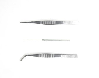 Butterfly Setting Mounting Tools, Entomology Taxidermy Equipment, Stainless Steel Tweezers