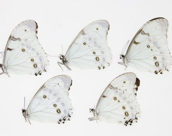 il_340x270.2577872556_3lwu.jpg