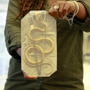 Xenochrophis melanzostus, CURVED COILED Snake Skeleton, Preserved Reptile Specimens (Non-cites)