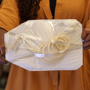 Ptyas korros, ROLLING CURVED Snake Skeleton, Preserved Reptile Specimens (Non-CITES)