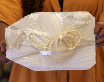 Ptyas korros, ROLLING CURVED Snake Skeleton, Preserved Reptile Specimens (Non-CITES)