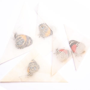 FIVE (5) Number-Wing Butterflies, Various assorted A1 Callicore, Diaethria, Perisama