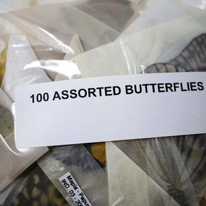 Una confezione da 10, 25, 50, 100 farfalle di provenienza etica / Farfalle assortite non montate, Lepidotteri, esemplari entomologici allevati all'ingrosso