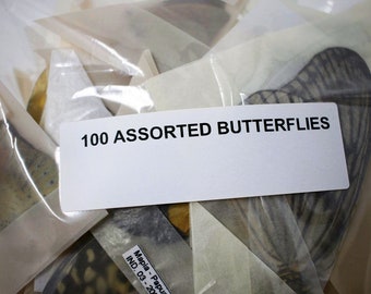 A Pack of 10, 25, 50, 100 Ethically Sourced Butterflies | Assorted Unmounted Butterflies, Lepidoptera, Entomology Farmed Specimens WHOLESALE