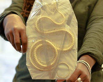 Trimeresurus albolabris, ROLLING CURVED Snake Skeleton, Preserved Reptile Specimens (Non-cites)