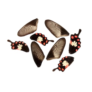 Puede incluir: Una colección de alas de mariposa negras y rojas con marcas blancas. Las alas están dispuestas en un patrón circular sobre un fondo blanco.