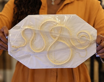 Coelognathus flavolineatus, ROLLING CURVED COILED Snake Skeleton, Preserved Reptile Specimens (Non-cites)
