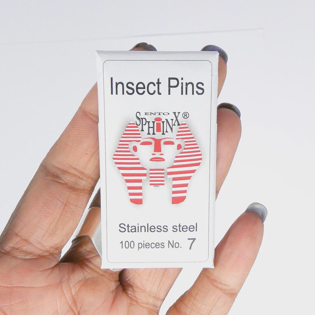 Insect Entomology Pins | 100-pack for Butterflies and Insects ...
