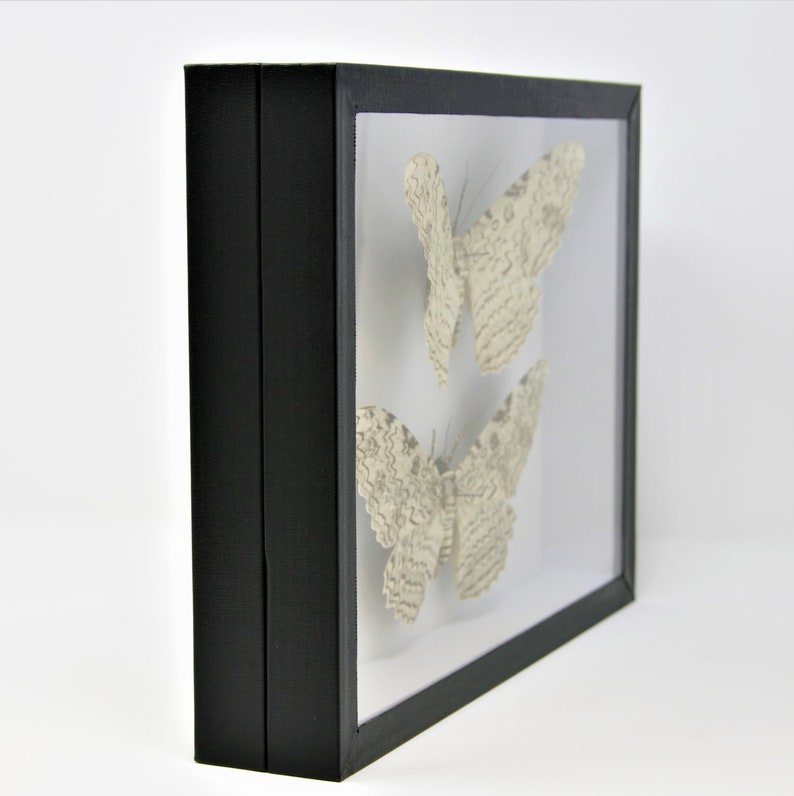 Entomology Box Butterfly Display Case with Glass Lid, Insect Display Box for Pinned Bugs & Butterflies image 6