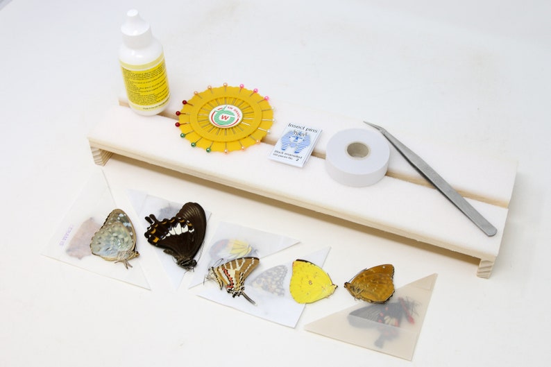 Butterfly Setting Mounting Kit Butterfly Equipment Etsy