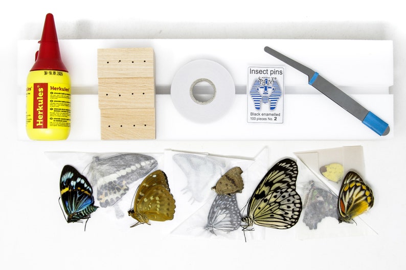 Butterfly Setting Mounting Kit Butterfly Equipment Etsy UK