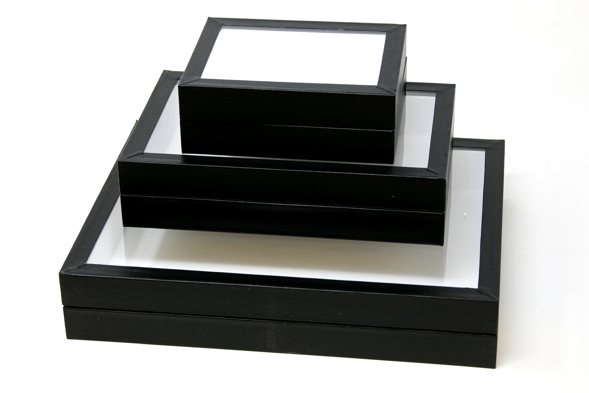 Entomology Box Butterfly Display Case with Glass Lid, Insect Display