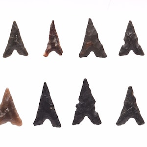 Real Neolithic Flint Arrowheads x 8 | 15-19mm | 4000-6000 BCE | Natural History Specimen