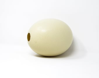 南アフリカ　ダチョウの卵 il_340x270.3122539054_ctqg.jpg