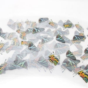 May include: A sheet of clear plastic with colorful butterfly wing stickers. The wings are printed with a variety of green, blue, yellow, and orange patterns.