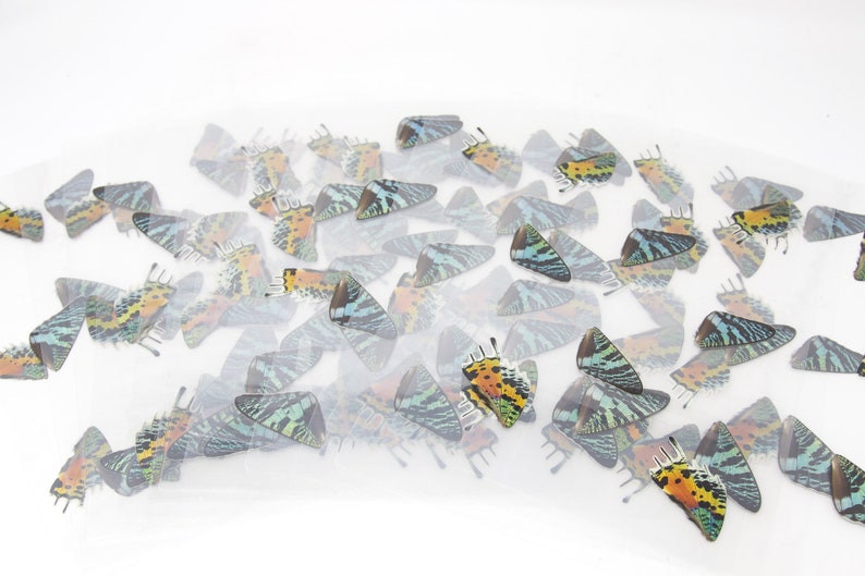 May include: A sheet of clear plastic with colorful butterfly wing stickers. The wings are printed with a variety of green, blue, yellow, and orange patterns.