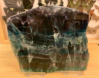 Large Fluorite Slice with Gold Stand (FFGA03) FREE SHIPPING