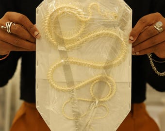 Rat Snake CURVED COILED Skeleton (Ptyas korros) A1 Specimen (Non-CITES)