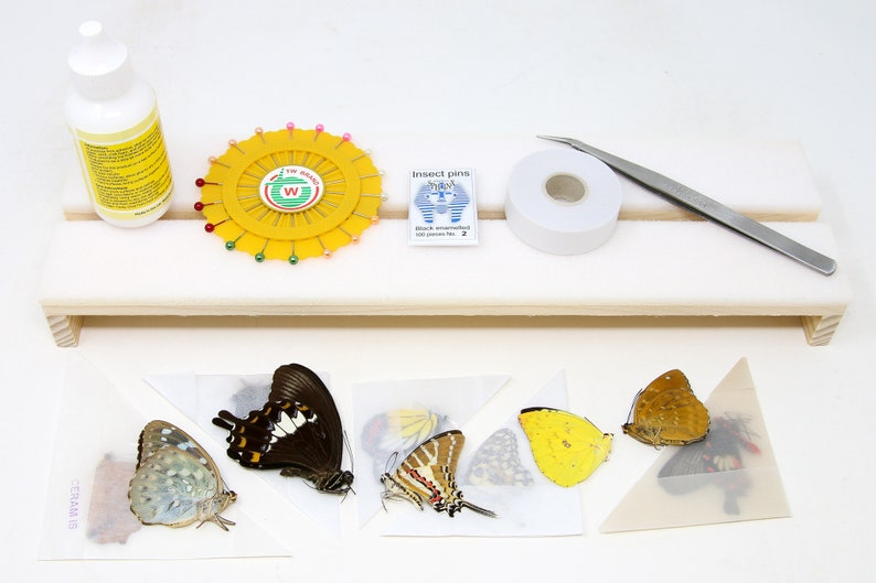 Butterfly Setting Mounting Kit Butterfly Equipment Etsy