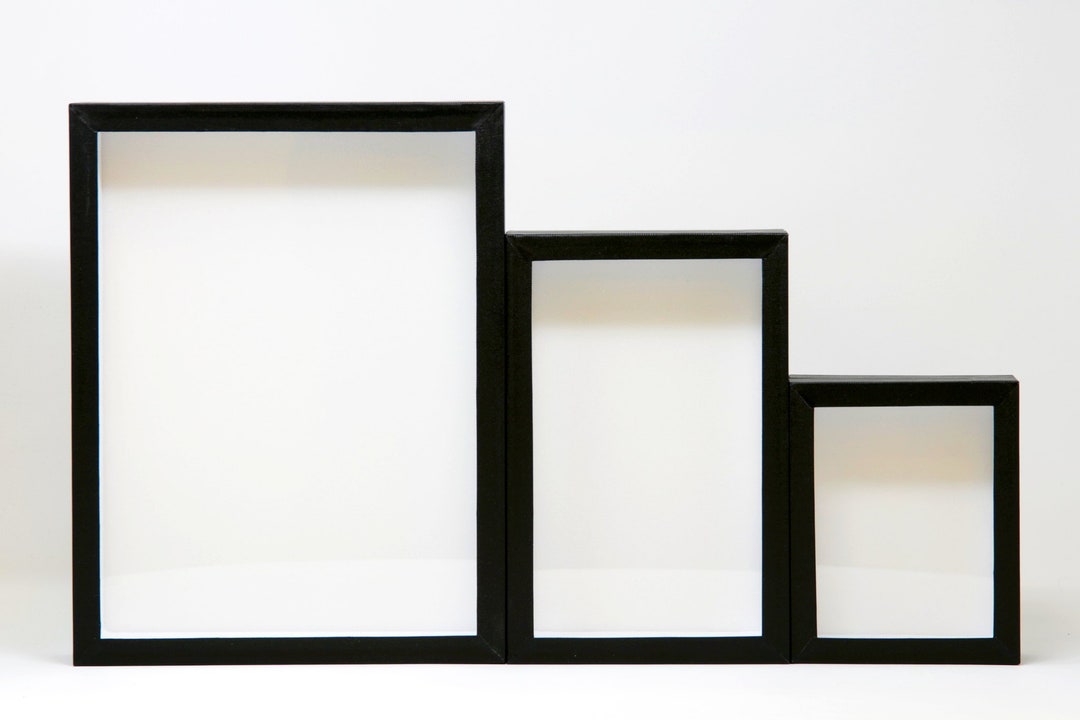 Vitrine Carrée En Bois Pour Insectes Avec Tapis En Mousse EVA Blanc à L'intérieur En Gros Pour